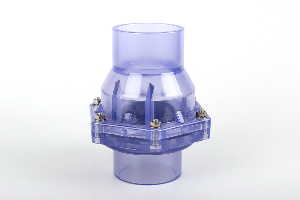 柳南透明翻板式止回阀